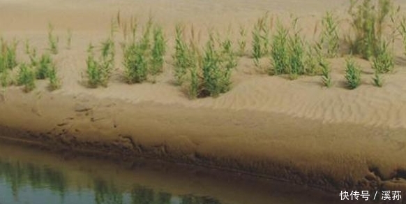 中国再现超级工程,沙漠将变成绿洲,也可能遭到印度的反对！