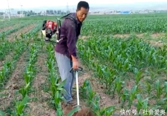 中国“电动锄头”一出，耕地不再愁，一天能锄几百亩，忒省力