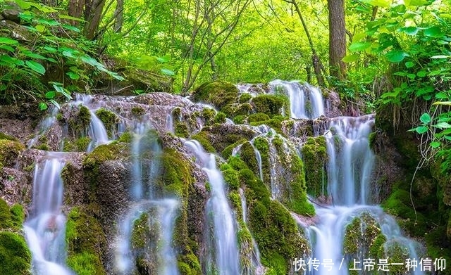 这个周末的三日小长假，王府竹海景区免门票让你游玩