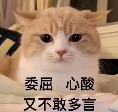 「白鞋」小白鞋失宠了!这5双“仙女鞋”今春必穿,美美美翻了!