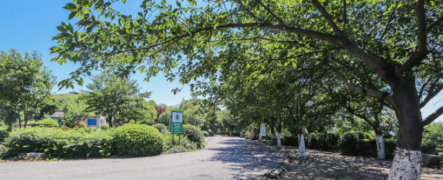 湖南最“华而不实”的城市，历史地位很高，发展却始终跟不起来