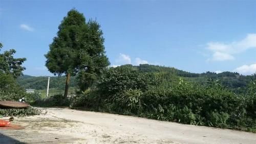 湖南四座带“阳”的城市，古典韵味十足，有你的家乡吗？