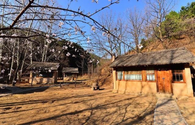 父辈农村的宅基地，城镇户口的子女还能继承吗？不知道的赶紧看看