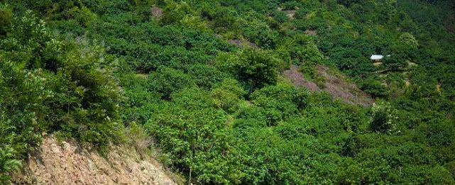 江苏实力最强的城市，位居二线GDP完胜新一线，或迎发展新格局