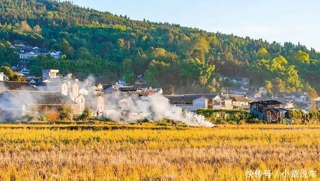 秋天的云南，哪个地方最美？这里的三千银杏，黄了整个世界