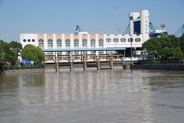 春旱为何不旱?浦东18座水闸联动调水