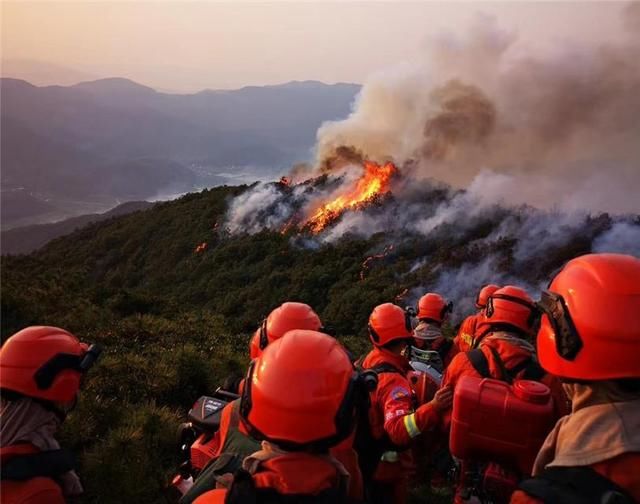  [专题研究]国家森防指办公室专题研究部署 东北、内蒙古地区春防紧要期森林草原防灭火工作