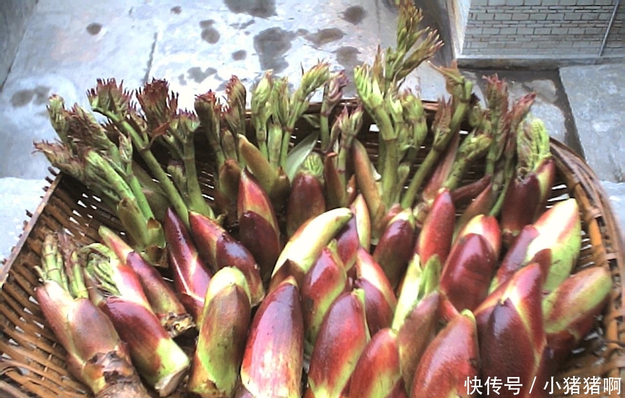 再过一个多月，农村这3种树要“倒霉”了，年年如此让树怎么活？