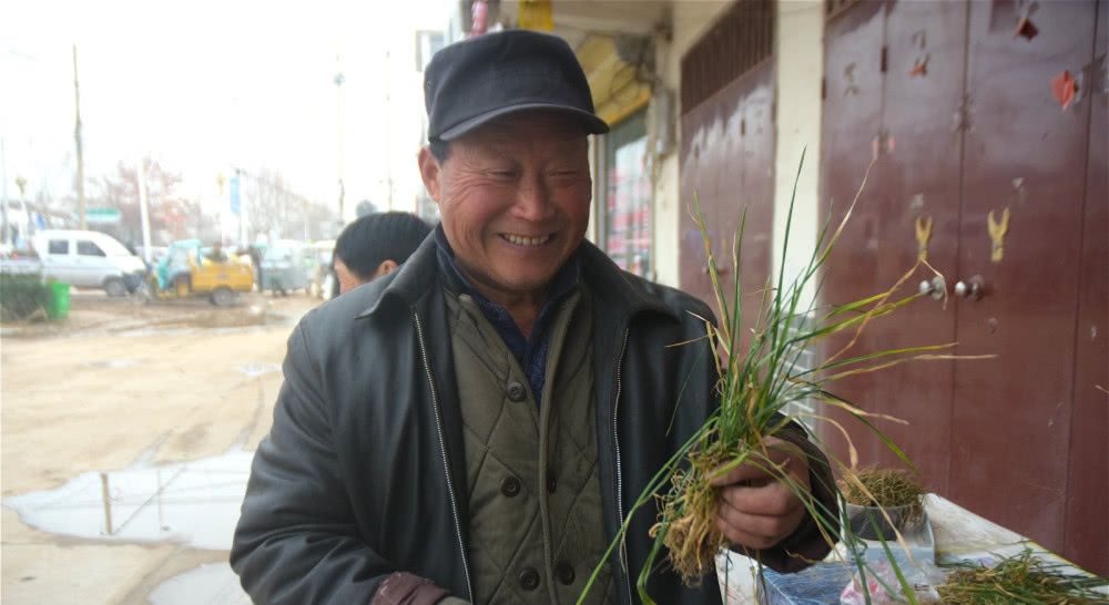  「返乡」农民打工返乡，田间小麦发黄，怀疑肥料有问题，农技专