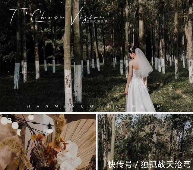 「糖色」焦糖色与蒲扇叶,有调的复古风婚礼