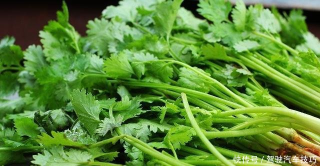 『蔬菜』5种耐寒性很好的蔬菜,冬天阳台盆栽就种它们,零下5度冻不死!