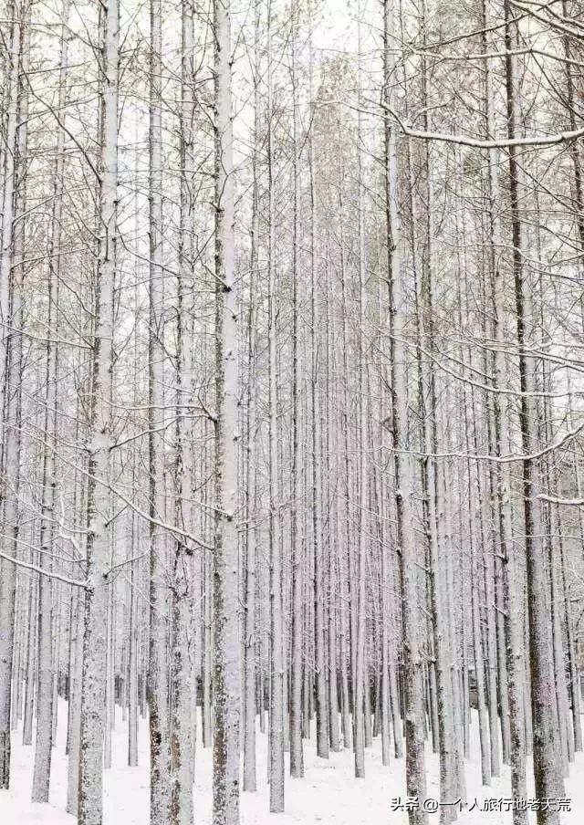 美不输过青岛！和厦门一样浪漫！这座中国海滨老城可以去看看