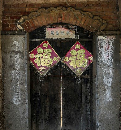  树木@农村老家的树木大家的门，渐渐消失了，难道还有回忆吗