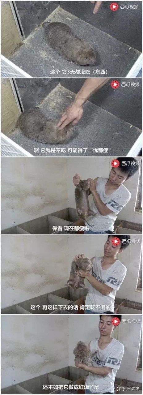 马云没有“退休”;中国电影票房达467亿元;北京演艺界承诺不用涉