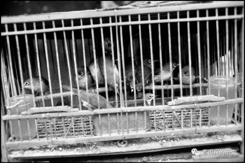 老照片：1984年成都农贸市场