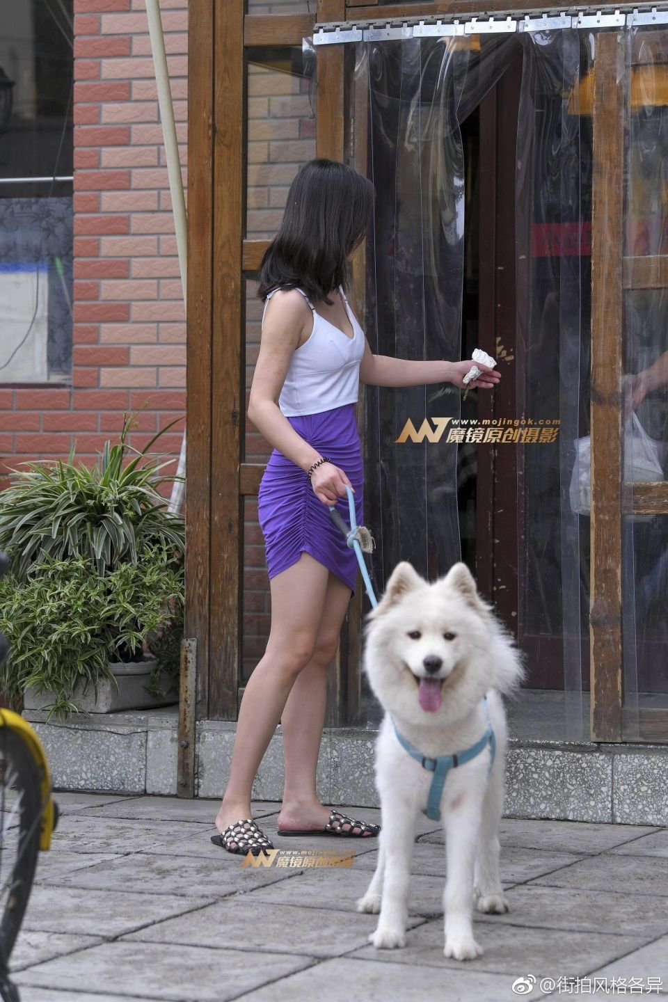 小姐姐的紫色短裙简约而不简单，诱惑力十足，人美养的狗狗也漂亮