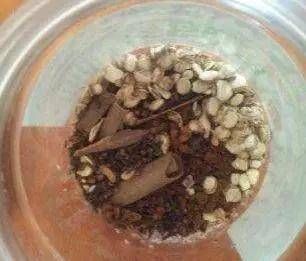  『发芽后的玉』自制药酒泡玉米，为何总是泡不出味，因为酒和玉米都没处理到位
