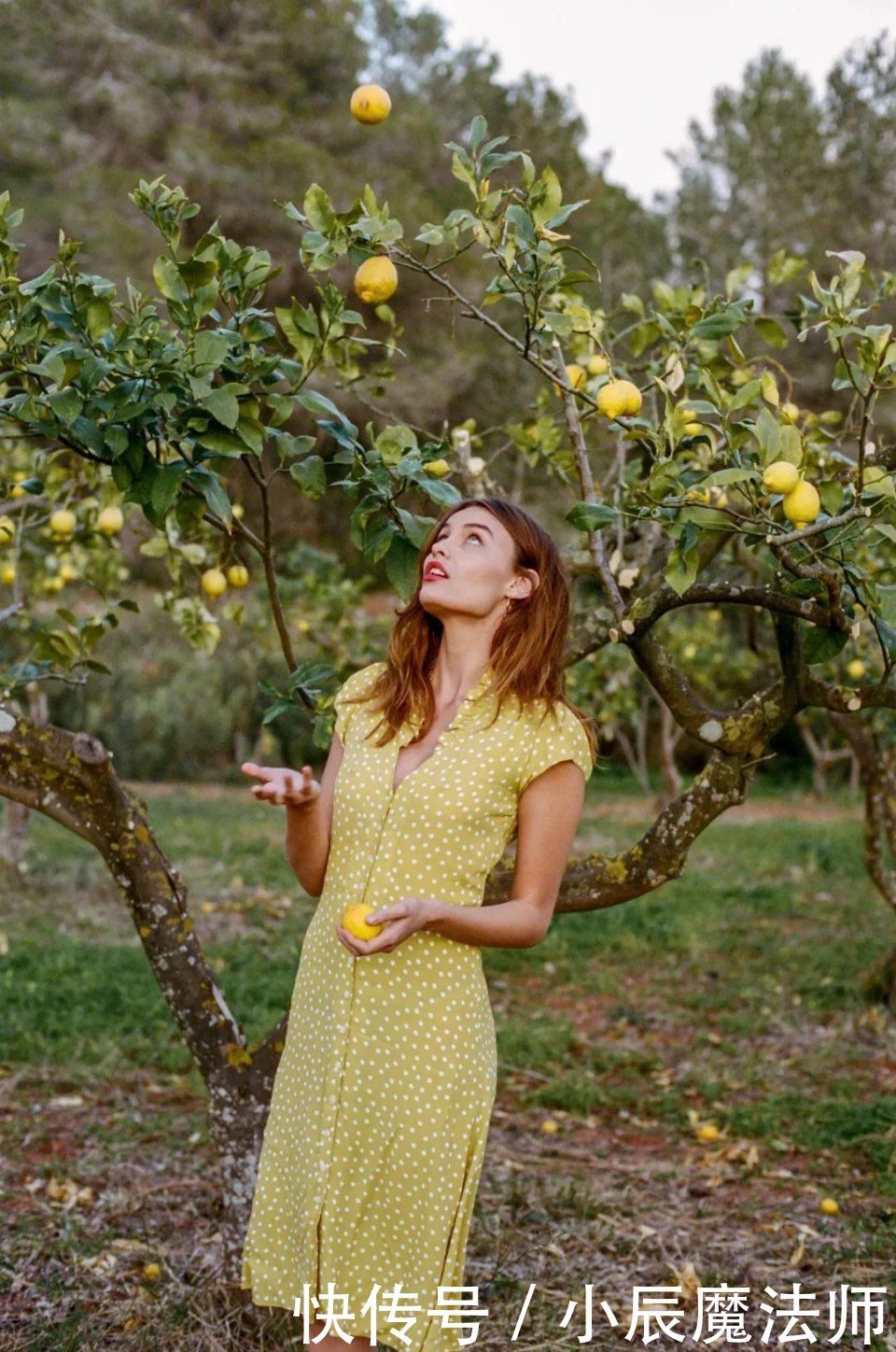 『复古方领』高级又时髦,照着穿回头率200%!