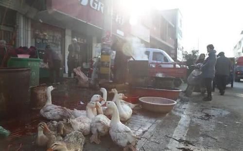  #宰杀#曾卖2元，如今成农村垃圾，有人却做起“免费买卖”，闯出