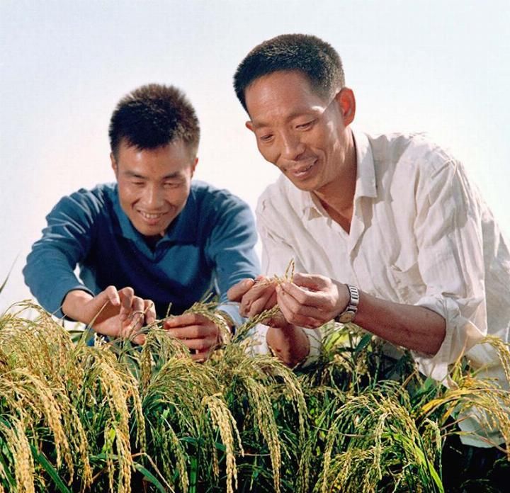 有记者问：外国粮食便宜，我们为何要自己种，袁隆平答这样一句话