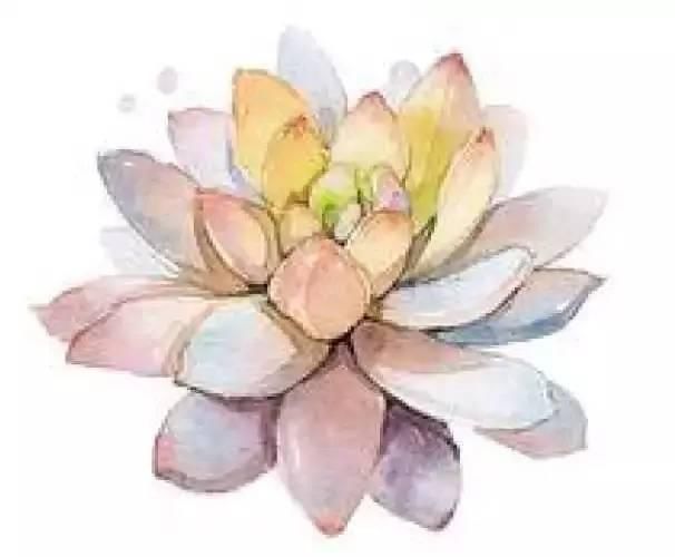 【重磅】“五险一金”迎大变化!