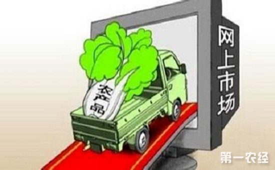 安徽黄山歙县:培育新型农业电商经营主体 促进