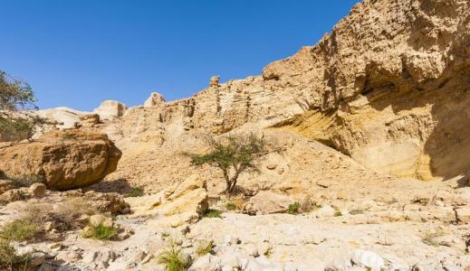 如果把沙漠的沙子都挖走，沙漠底下会有什么东西看完涨知识了