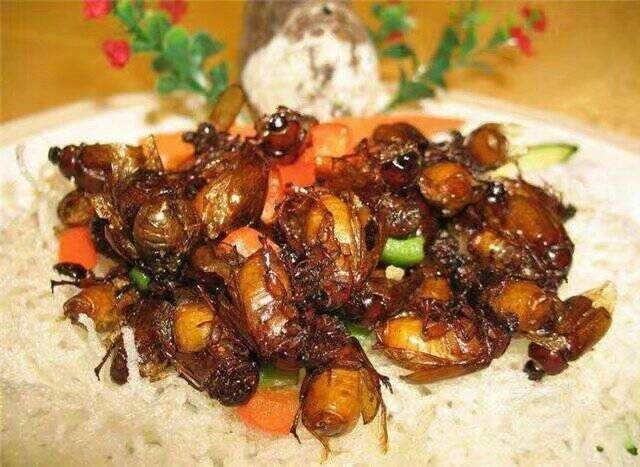 为啥农村夏天一到，人们就时不时往玉米地里钻？能些干什么呢？