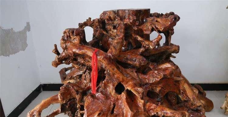  『有人』农村里的香椿木有人要吗，香椿木值钱吗？看完才知道它的价值