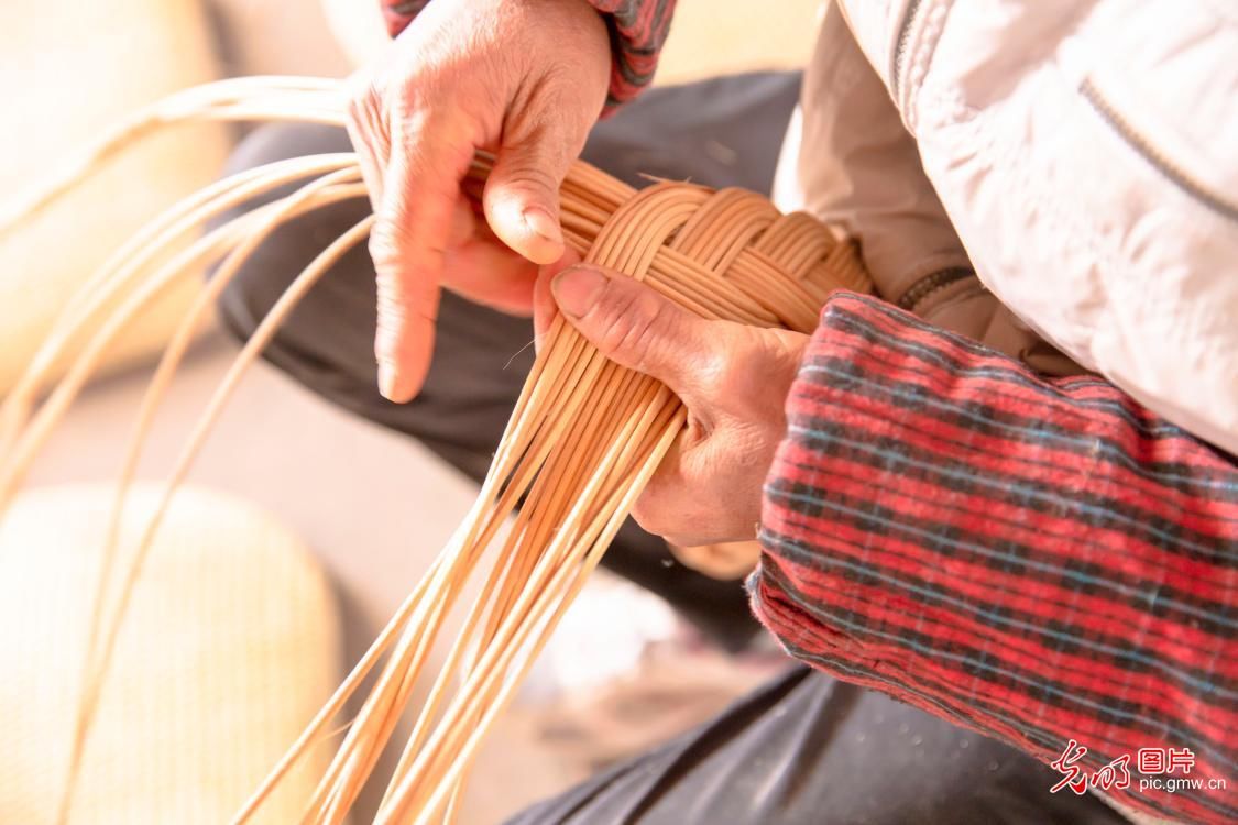  藤编：江苏海安：生态藤编助农增收