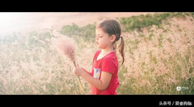 超级卡友自驾日记，落日成诗，独闯北领的狂野秘境