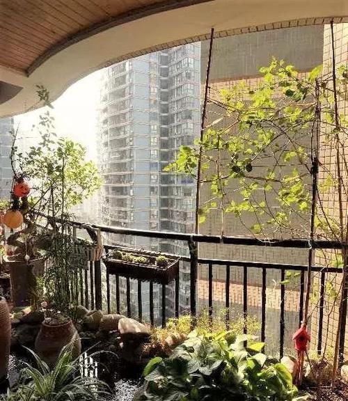  [吊起来养]阳台这样种花, 可以美上一整年, 整个小区都会羡慕你!