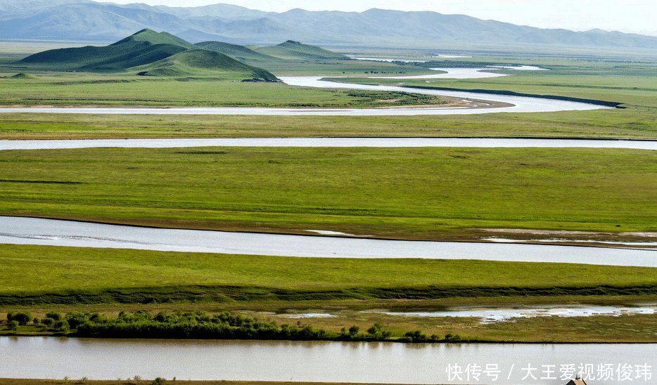 黄河之水那么浑浊，却有大量的鲤鱼生存原因很简单