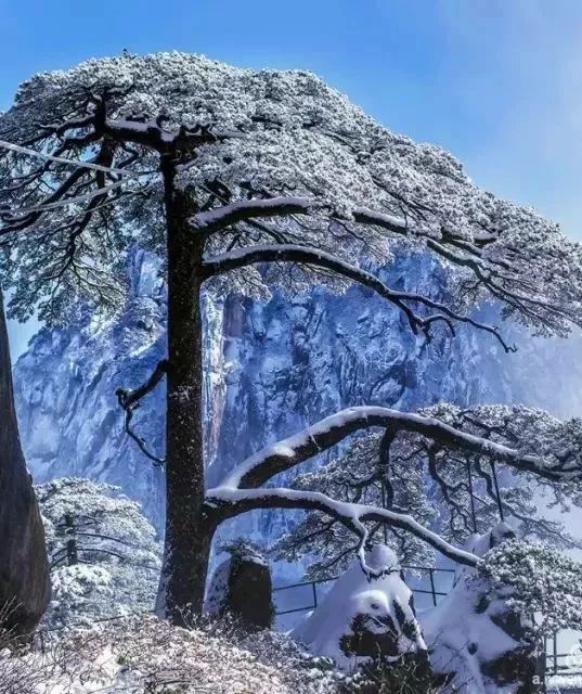 冬天没看过雪，就等于白过了！