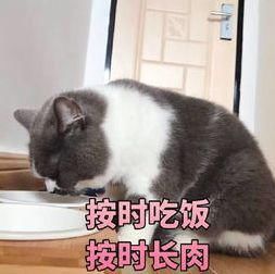 『正确』正确的护肤指南来咯 99%的人都错了