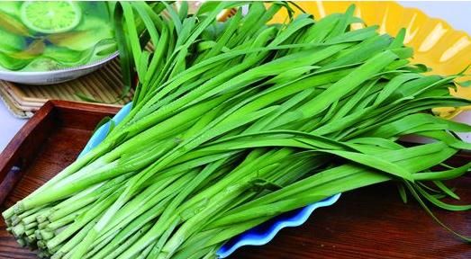 『辣椒』“4种菜”种阳台，长得比吃得还快，比花还漂亮，收获一茬茬