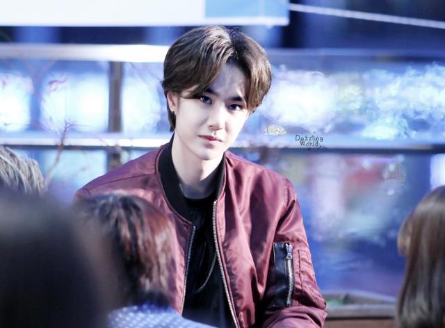 王一博主要工作是什么