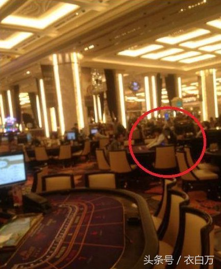 高云翔中招冤大头!女主现身赌场眉眼含笑，知情人曝不敢信实情!