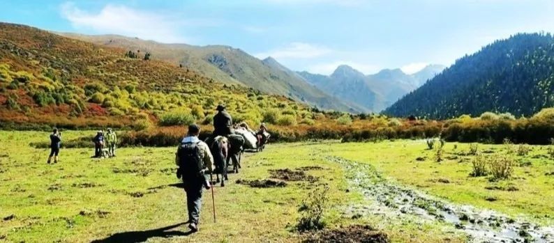 追寻传说中的七藏沟，将满眼秋色尽收眼底