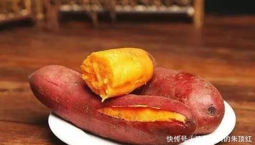  『好物』鲤鱼最爱吃什么？野钓多年终于得出答案，五种鲤鱼无法抗拒的好物