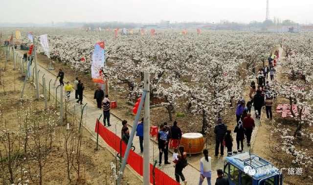 抹不去的运河记忆(四)丨千年古村落——刘老人村