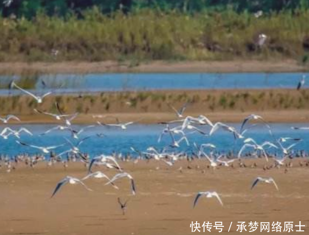 第一个破产的5A景区，负债几亿还不起，游客不宰客就开不下去