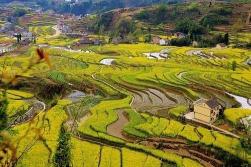 这个春天去陕西看花，八处养眼好看的赏花地美得让你落泪！