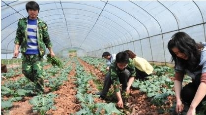 农村政策出新规，满足这些条件，这5类人可以将户口转回农村