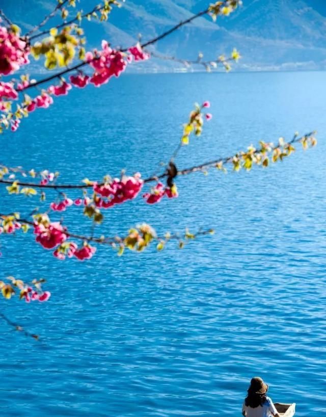 中国最美的50个地方，你去过几个