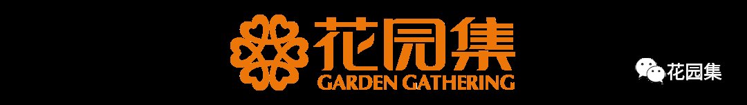  「棵树」一颗树，点亮整个庭院空间，美呆了~（附孤植清单）