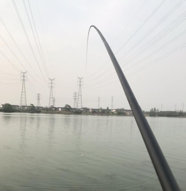  失之交臂■壁虎河之行-与大物失之交臂，还好有小鲤安慰