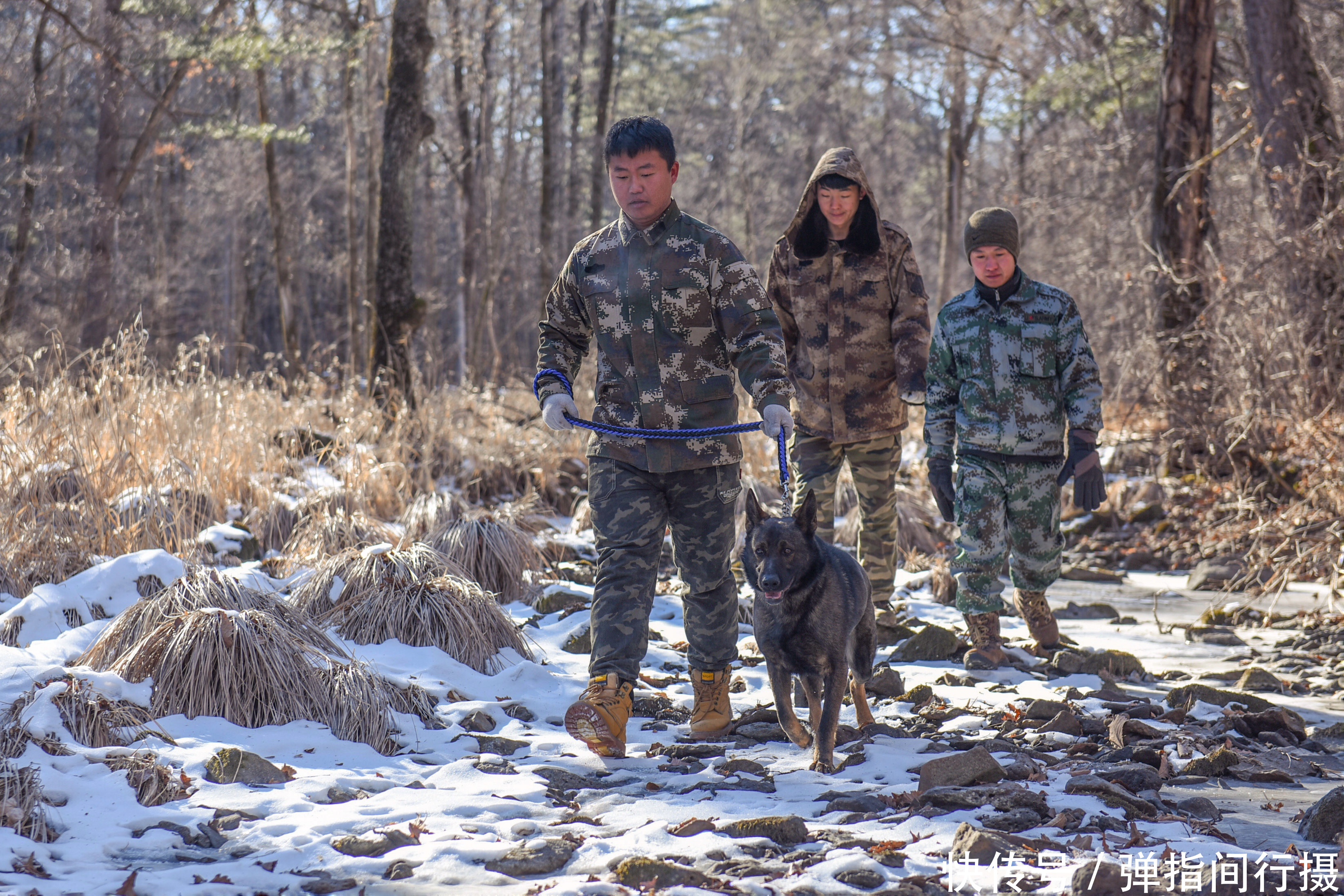 在-35℃的山林巡护，他们的工作为长白山带来什么？看完你会感动