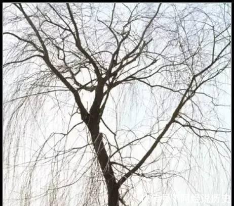  图集@逝去的年代 1985年中国社会民生老照片图集