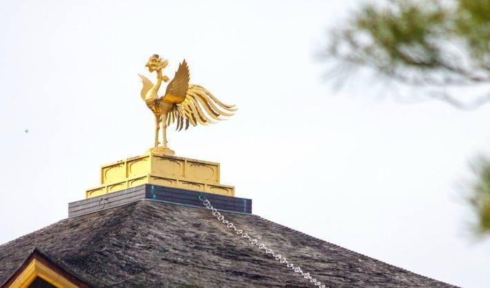 #金阁寺#日本仿效中国修建的城市,用金子打造寺庙,庭院被称为极乐净土